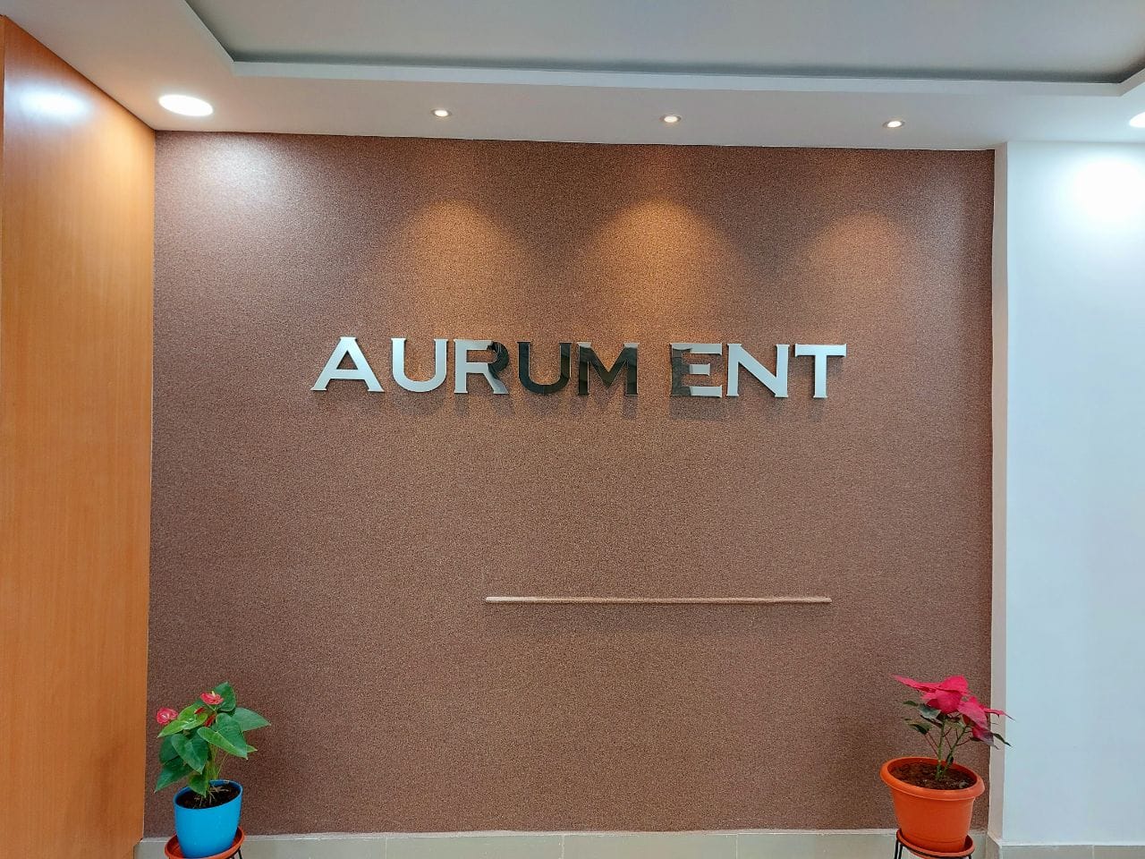Aurum ENT clinic, Banjara Hills, Hyderabad