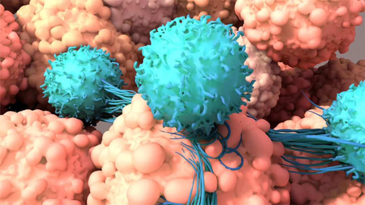 Immunotherapy